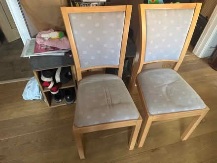 Photo of free Two dining room chairs (Farningham DA4) #1