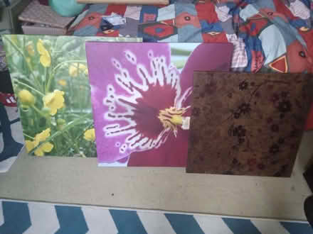 Photo of free 3 x Canvases (Chapeltown LS7) #1