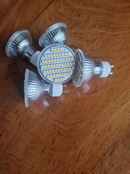 Photo of free Bulbs (Castor) #1