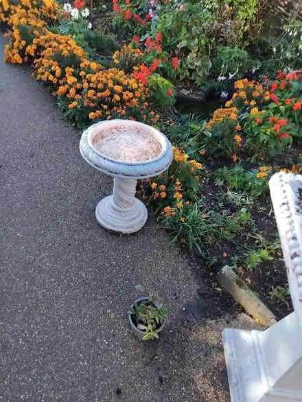 Photo of free Bird bath (Little Baddow CM3) #1