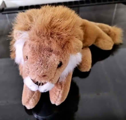 Photo of free Teddy bear, lion and dog (Oakwood Park DE21) #3