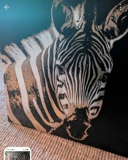 Photo of free Large canvas (Birmingham, Selly Oak) #1