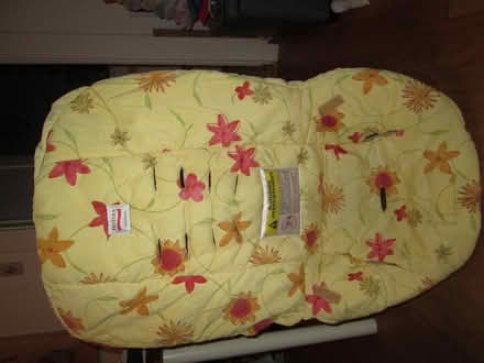 Photo of free cover/padding from a child car seat (Old Ottawa South) #1