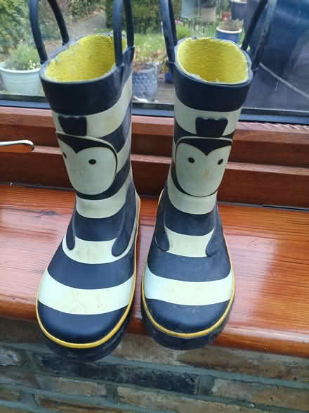 Photo of free Size 9 child's wellies (Crays Hill) #1