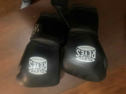 Photo of free Boxing gloves (Delaware & Davenport) #1