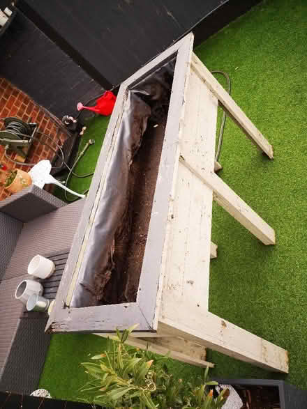 Photo of free Planter (Bournes Green SS2) #2