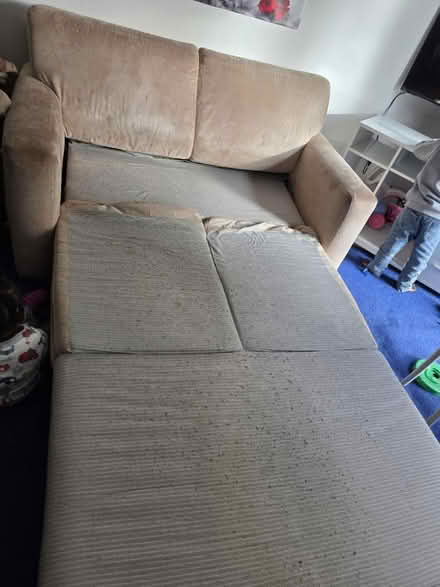 Photo of free Sofa bed (EH6 Pillans Walk) #3