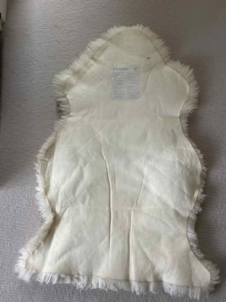 Photo of free Cream sheepskin rug (Wimbledon Village SW19) #2