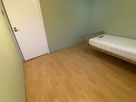 Photo of free Laminate flooring (Buntingford SG9) #2