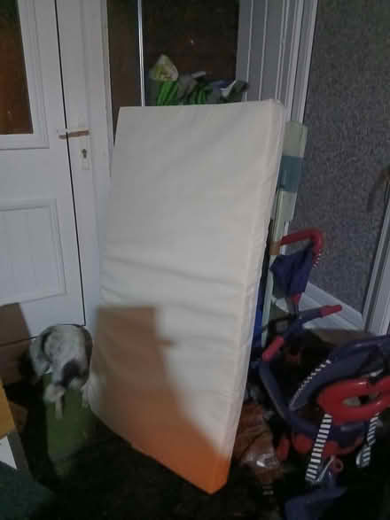 Photo of free Cot matress (Morecambe LA4) #2