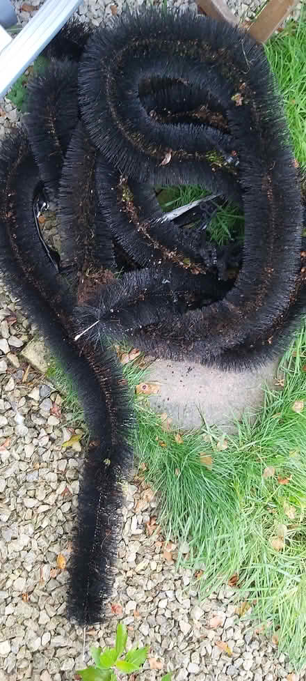 Photo of free Gutter hedgehogs (Poole, BH15) #1