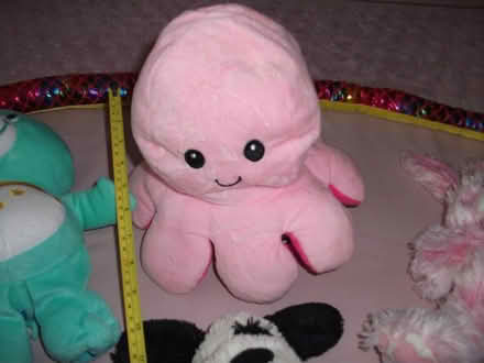 Photo of free Stuffed Toy Selection x 15 (ME16 - Allington) #4