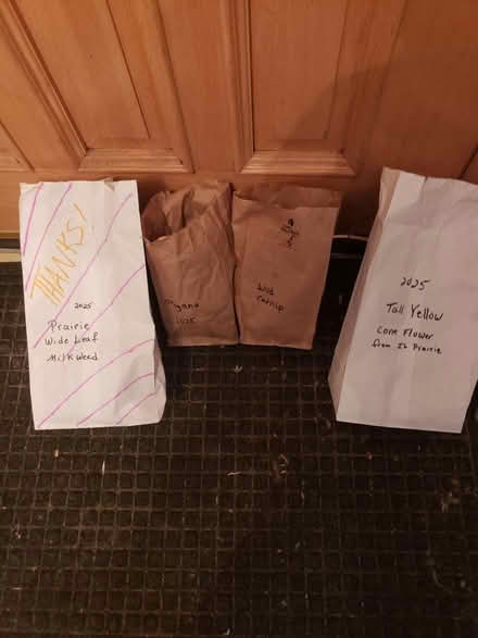 Photo of free Lots of Seeds (Downtown Bartlett) #1