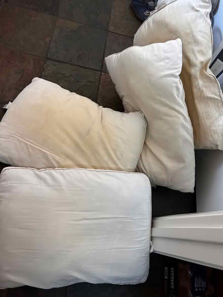 Photo of free Old pillows (Downtown Sunnyvale) #1