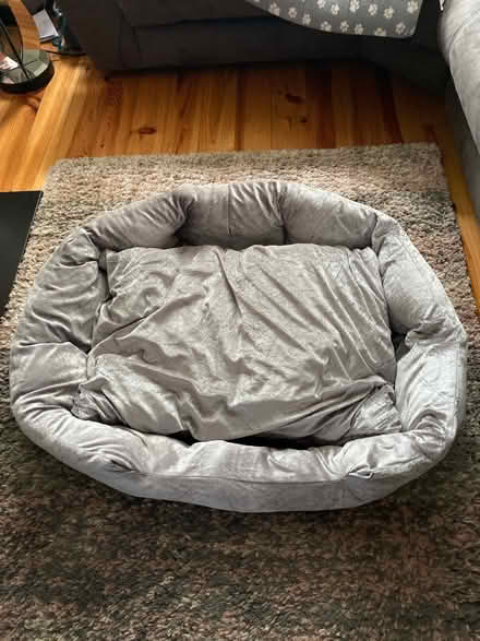 Photo of free Medium / large dog bed (B93 Bentley Heath) #1
