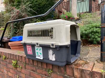 Photo of free Cat/small dog transportation box (Stacey Bank S6) #1