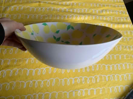 Photo of free Plastic bowl (Holt Lane End M35) #1