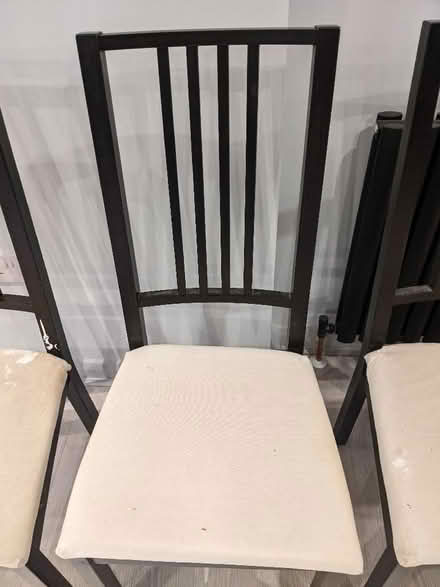 Photo of free Dining chairs x4 (Colchester CO4) #3