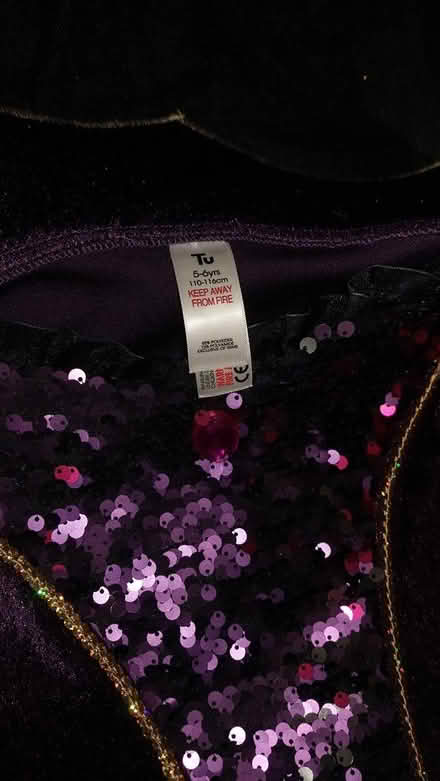 Photo of free Vampire dress with a veil headpiece (TW1, Strawberry Hill) #1