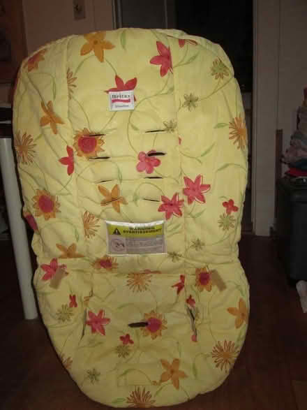 Photo of free cover/padding from a child car seat (Old Ottawa South) #1