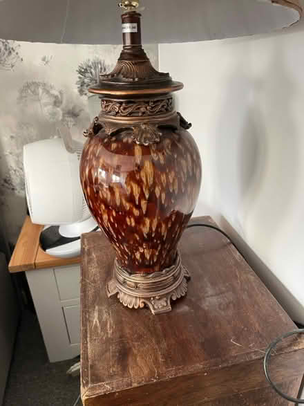 Photo of free Large lamp (DE21) #2