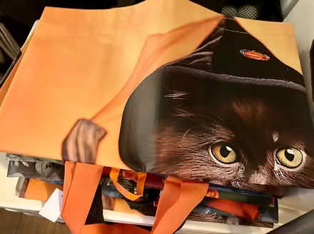 Photo of free 6 + nice big grocery tote bags (Englewood) #2
