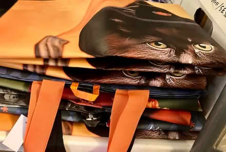 Photo of free 6 + nice big grocery tote bags (Englewood) #1