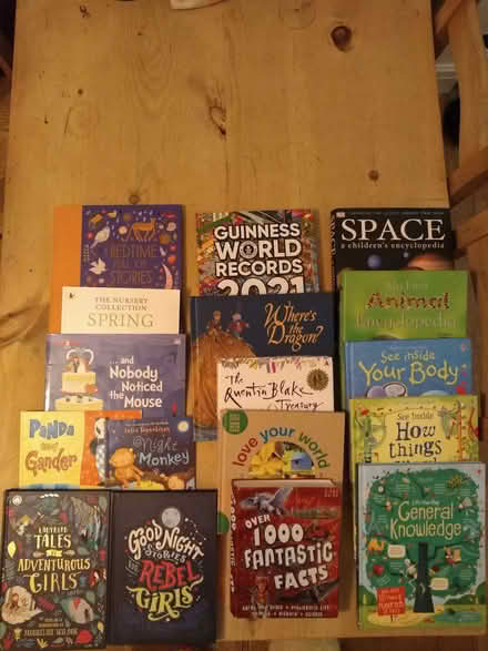 Photo of free Collection of children's fiction and non- fiction books (Great Moor SK2) #1