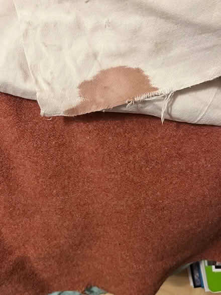 Photo of free Pure wool blanket (Hintonburg) #3