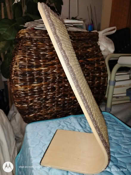 Photo of free Cat Scratcher (West Harlem) #2