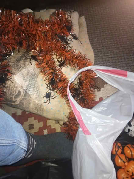 Photo of free Bits halloween (Kirkstall LS5) #3