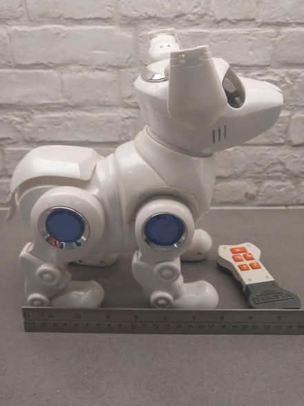 Photo of free Teksta: Electronic Dog Toy (Ealing Pitshanger W5) #2