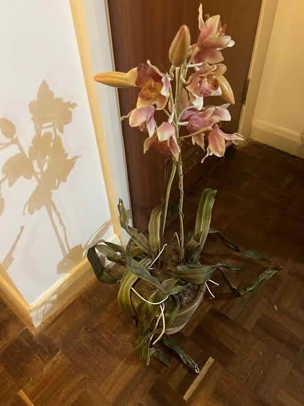 Photo of free Flower arrangement (Harrow on the Hill HA1) #1