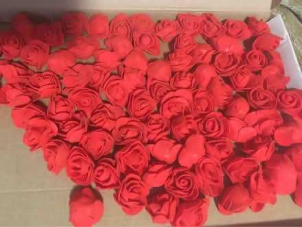 Photo of free Brand New Foam, Pretty, Red Roses (Liverpool L6) #3