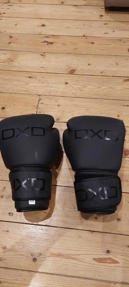 Photo of free Boxing gloves 16oz (Radcliffe M26) #1