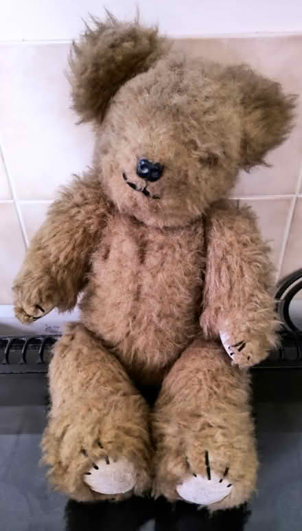 Photo of free Teddy bear, lion and dog (Oakwood Park DE21) #1