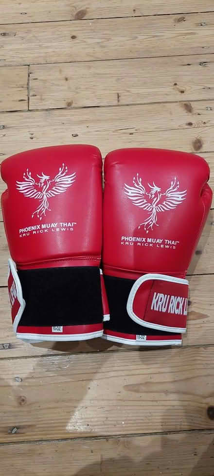 Photo of free Boxing gloves 10oz (Radcliffe M26) #1