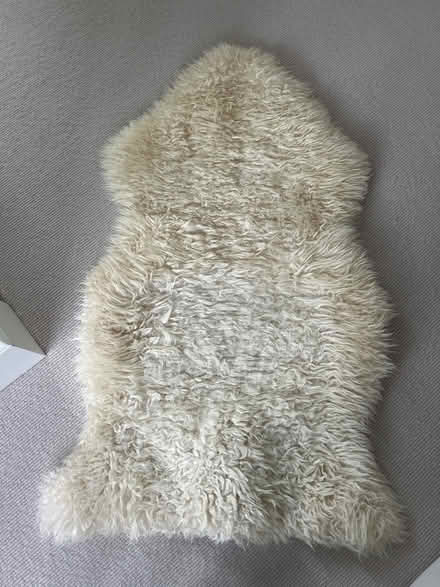 Photo of free Cream sheepskin rug (Wimbledon Village SW19) #1