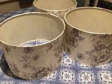 Photo of free Three matching lampshades (Weymouth DT4) #2