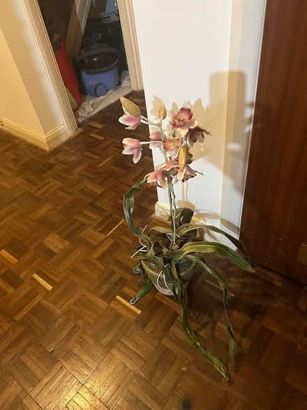 Photo of free Flower arrangement (Harrow on the Hill HA1) #2