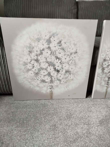 Photo of free 2 Wall pictures (Fallside G71) #3