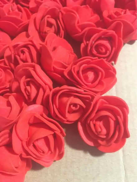 Photo of free Brand New Foam, Pretty, Red Roses (Liverpool L6) #2