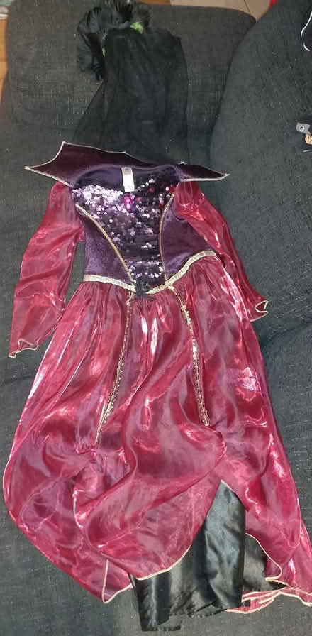 Photo of free Vampire dress with a veil headpiece (TW1, Strawberry Hill) #2