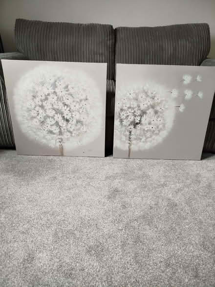 Photo of free 2 Wall pictures (Fallside G71) #1