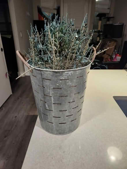 Photo of free Fake plant in bucket (76102) #1