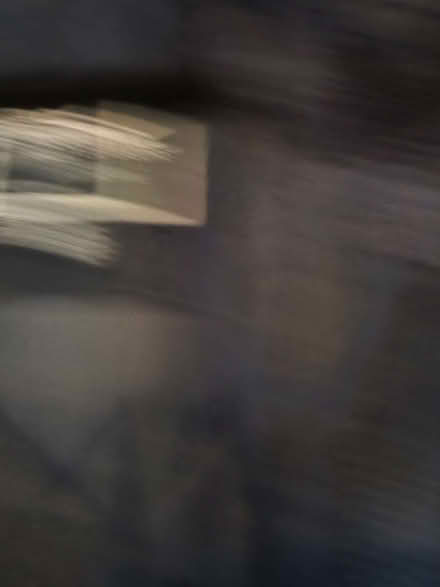 Photo of free Regatta waterproof winter parka,size 18 (NW2) #2