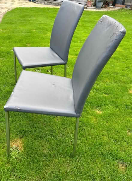 Photo of free 8 dining chairs (Cabinteely) #1