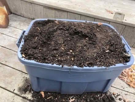 Photo of free rich soil (Upper Beach) #1