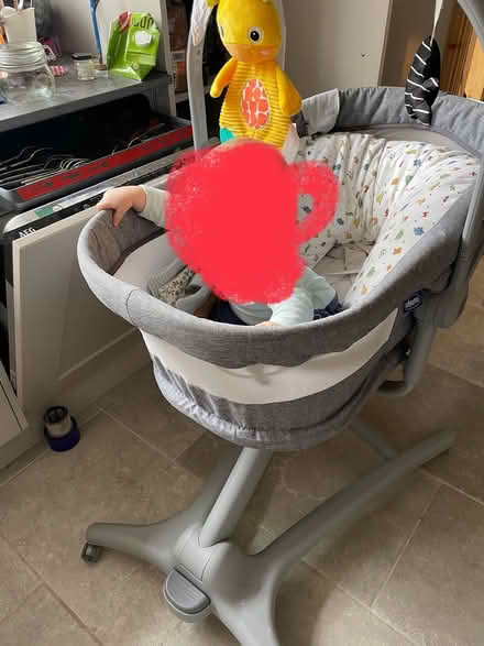 Photo of free Bassinet/chair (Carter Knowle) #2