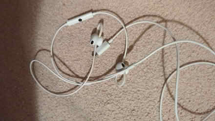 Photo of free Google Pixel earphones (Bernards Heath AL1) #1